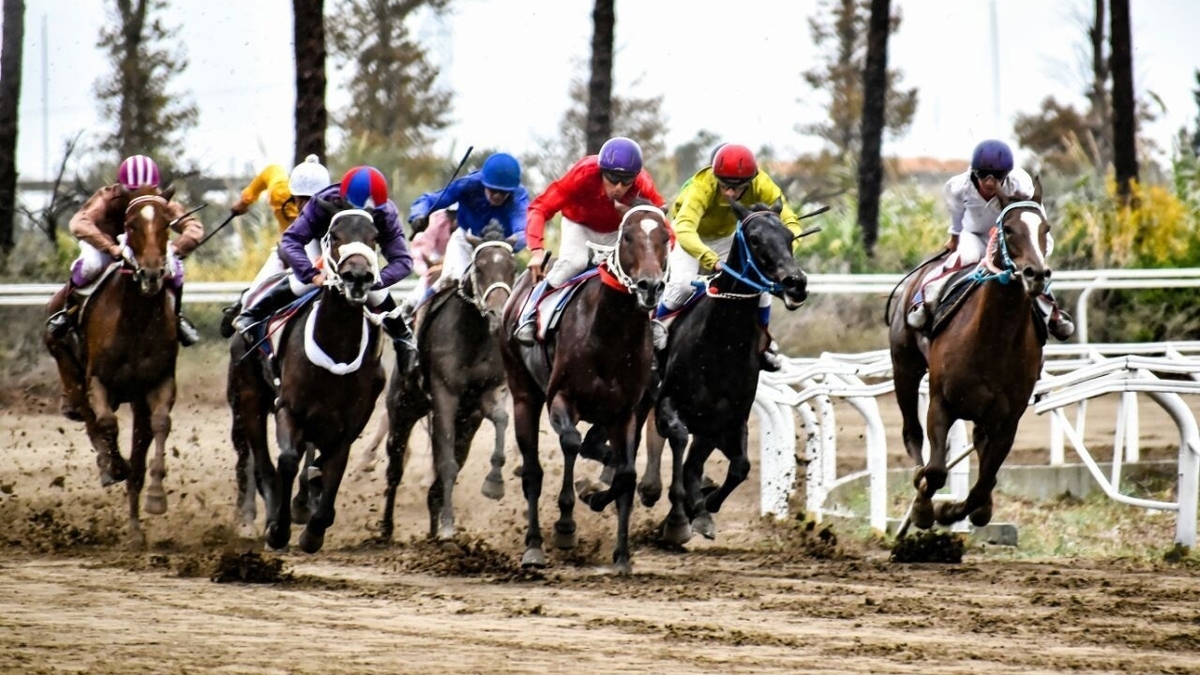 آغاز هفته پنجم کورس پاییزه گنبدکاووس با شرکت ۲۰۱ اسب