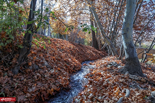 پاییز در محلات؛ پایتخت گل ایران