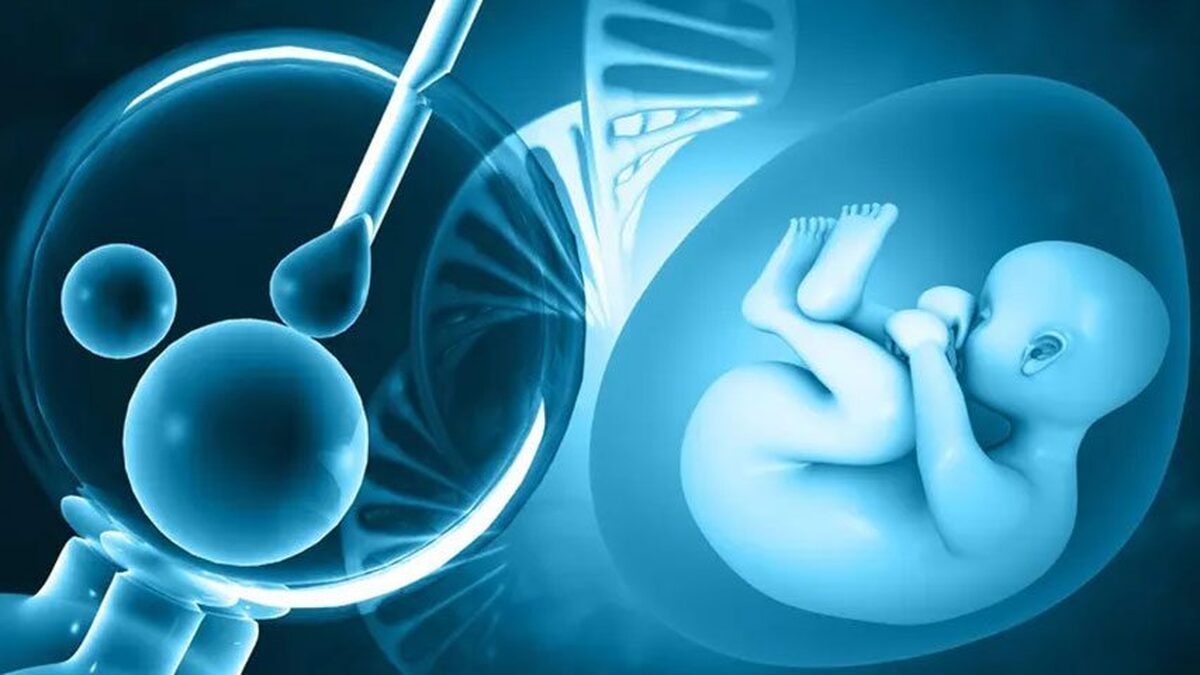 ۲۰ زوج در مرکز ناباروری امام رضا (ع) کاشان صاحب فرزند شدند