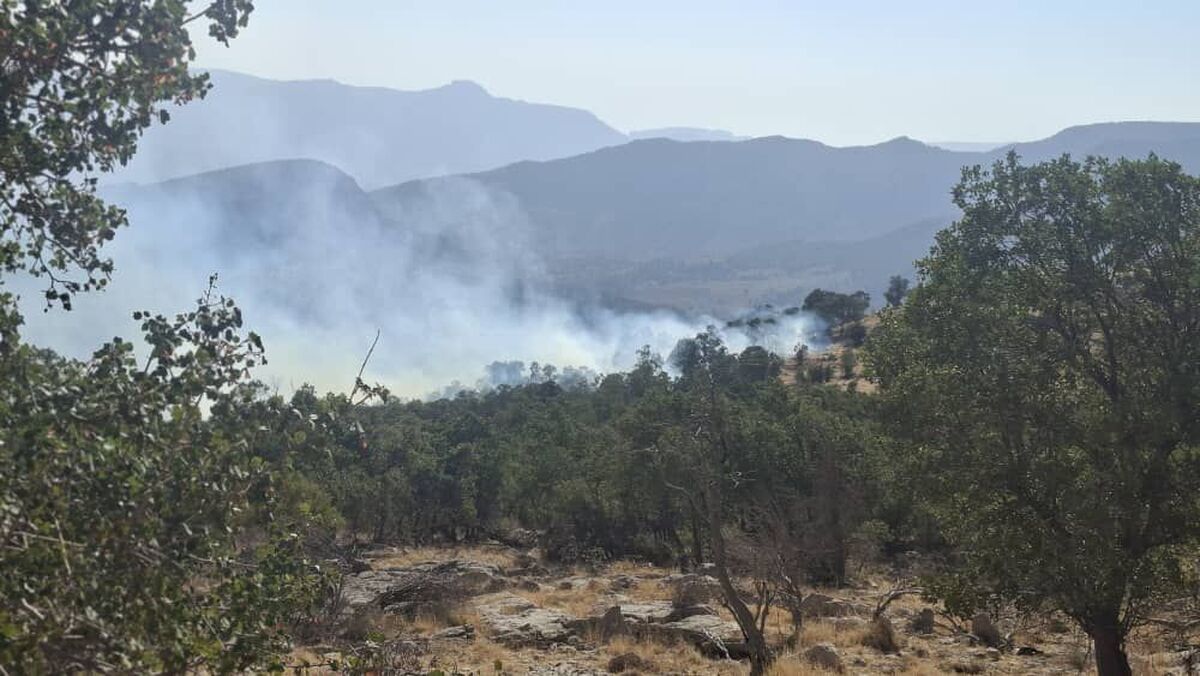 «الیت» تنها نیست