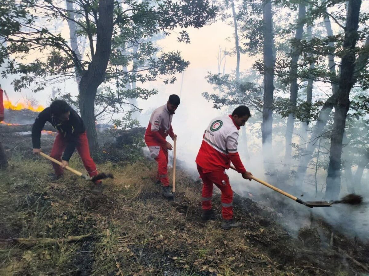 پمپاژ آب از رودخانه ها برای مهار کامل آتش سوزی جنگل «الیت»