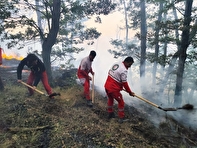 پمپاژ آب از رودخانه ها برای مهار کامل آتش سوزی جنگل «الیت»