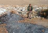 شهرداری‌ها نقاط مستعد پسماندسوزی در سطح شهر ارومیه را رصد کنند