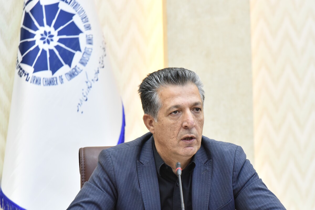 هشدار رئیس اتاق بازرگانی ارومیه: سهم ۱۴ درصدی زنان از بازار کار کشور؛ غیرقابل قبول و مغایر با توسعه اقتصادی است