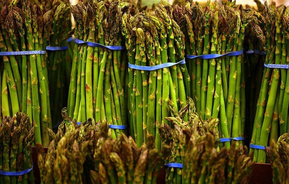 کشت هشت هکتار مارچوبه در نهاوند برای نخستین بار