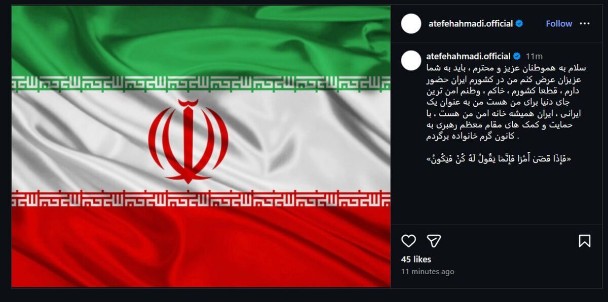 قهرمان اسکی آلپاین پس از سه سال به ایران بازگشت قهرمان اسکی آلپاین پس از سه سال به ایران بازگشت