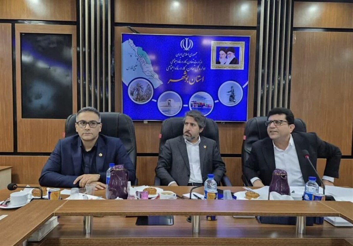 پرداخت بیش از یک‌هزار میلیارد ریال تسهیلات مشاغل خانگی در استان بوشهر