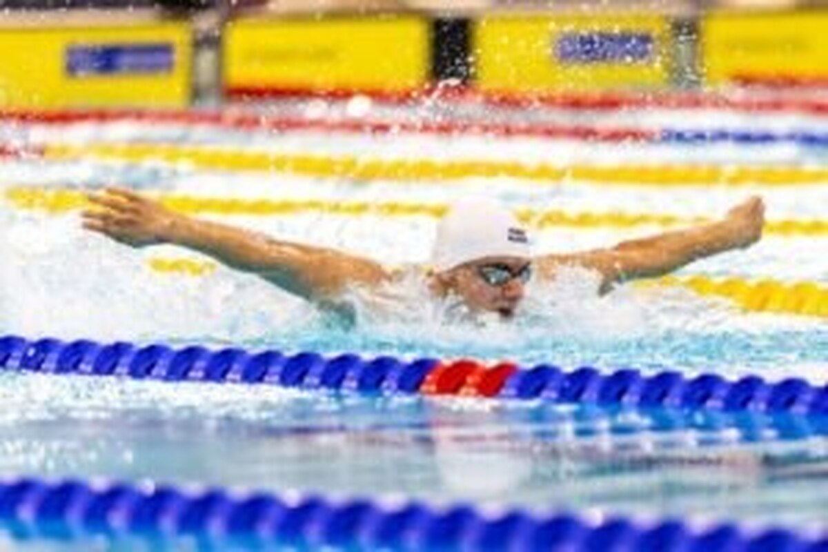 صید ۶۱ مدال رنگارنگ در آب‌های دبی/ سهم پاراشناگران تهرانی ۱۶ مدال