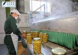 تحول در تولید زیتون با بهرهگیری از دانش روز و فناوریهای نوین تحول در تولید زیتون با بهرهگیری از دانش روز و فناوریهای نوین