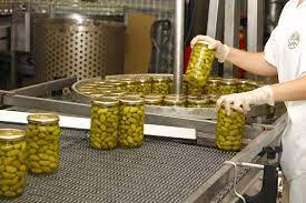 تحول در تولید زیتون با بهرهگیری از دانش روز و فناوریهای نوین تحول در تولید زیتون با بهرهگیری از دانش روز و فناوریهای نوین