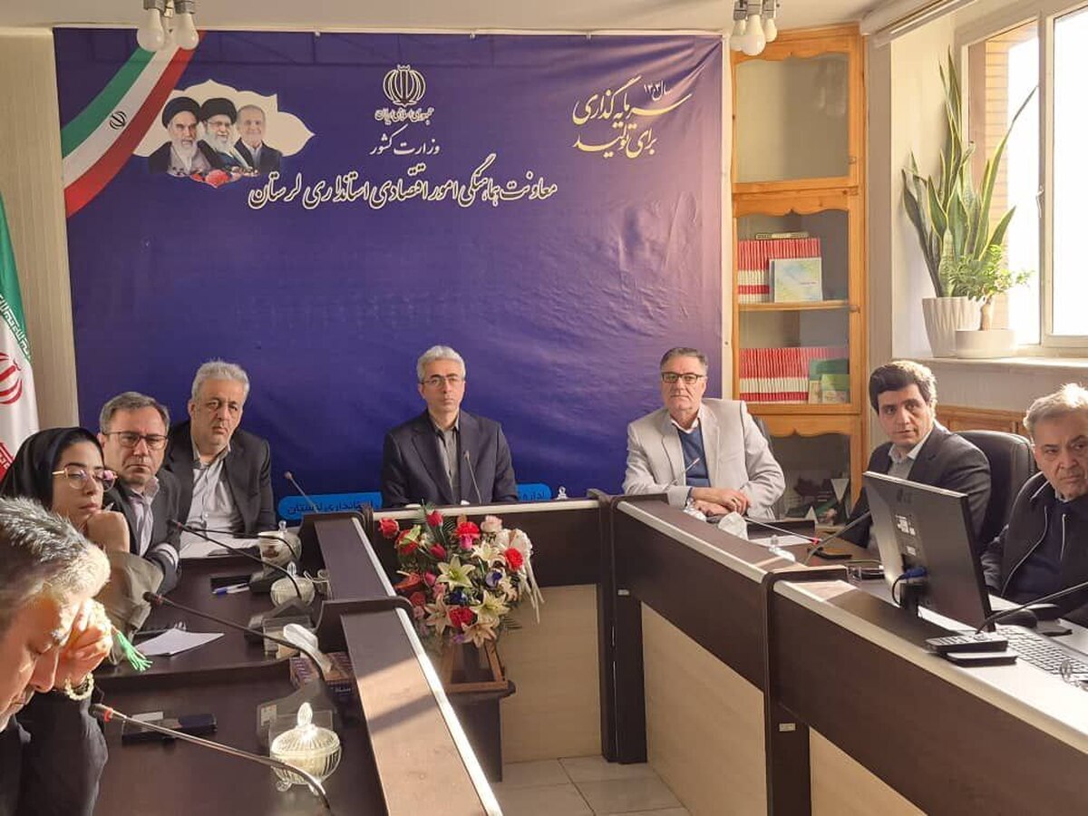 بسترسازی برای ۶۰۰ میلیاردتومان سرمایه‌گذاری در دلفان