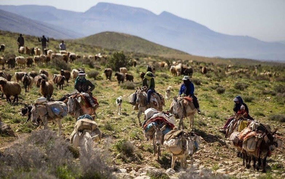 وضعیت اضطراری در مناطق عشایرنشین فارس اعلام شد