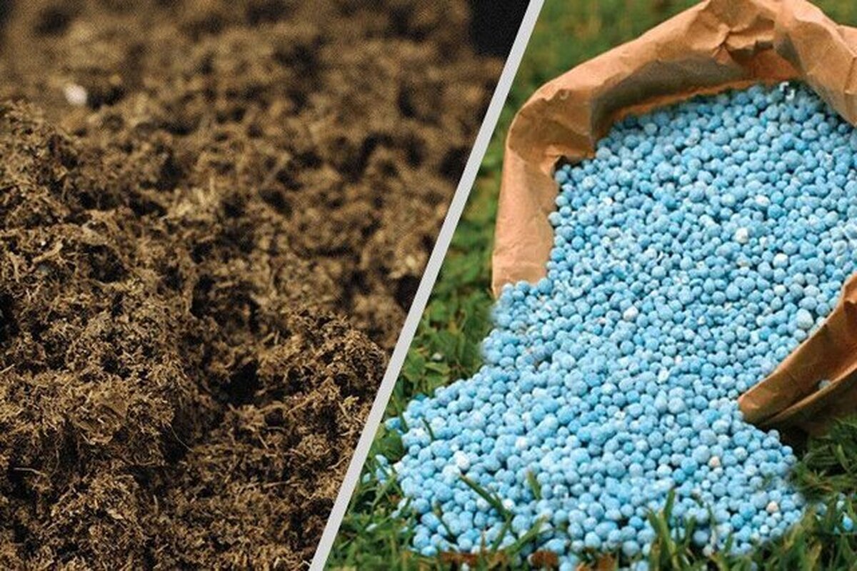 جذب و توزیع بیش از ۲۳ هزار تن کود شیمیایی در چهارمحال و بختیاری