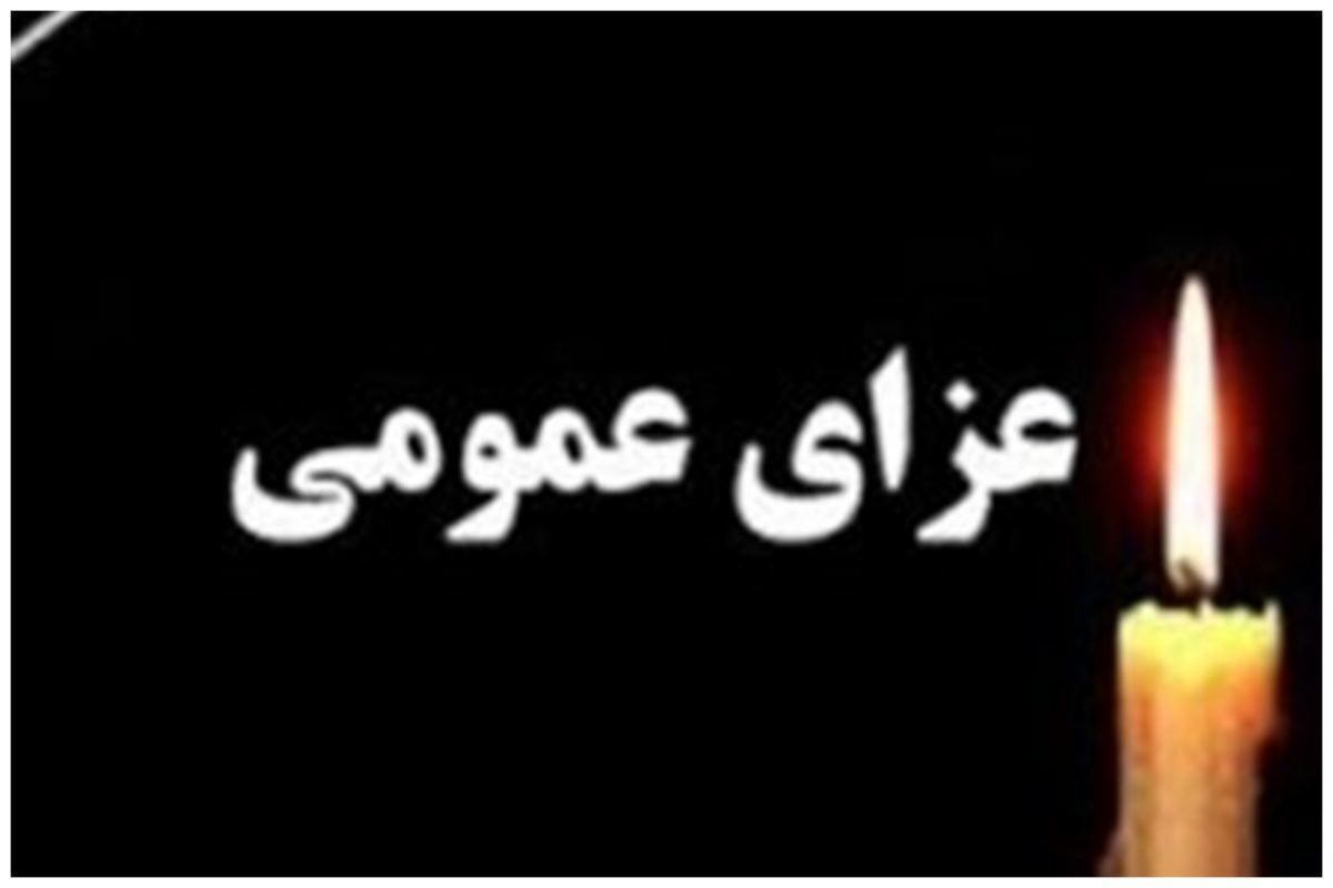 ۳ روز عزای عمومی اعلام شد/ کارمندان دورکار شدند