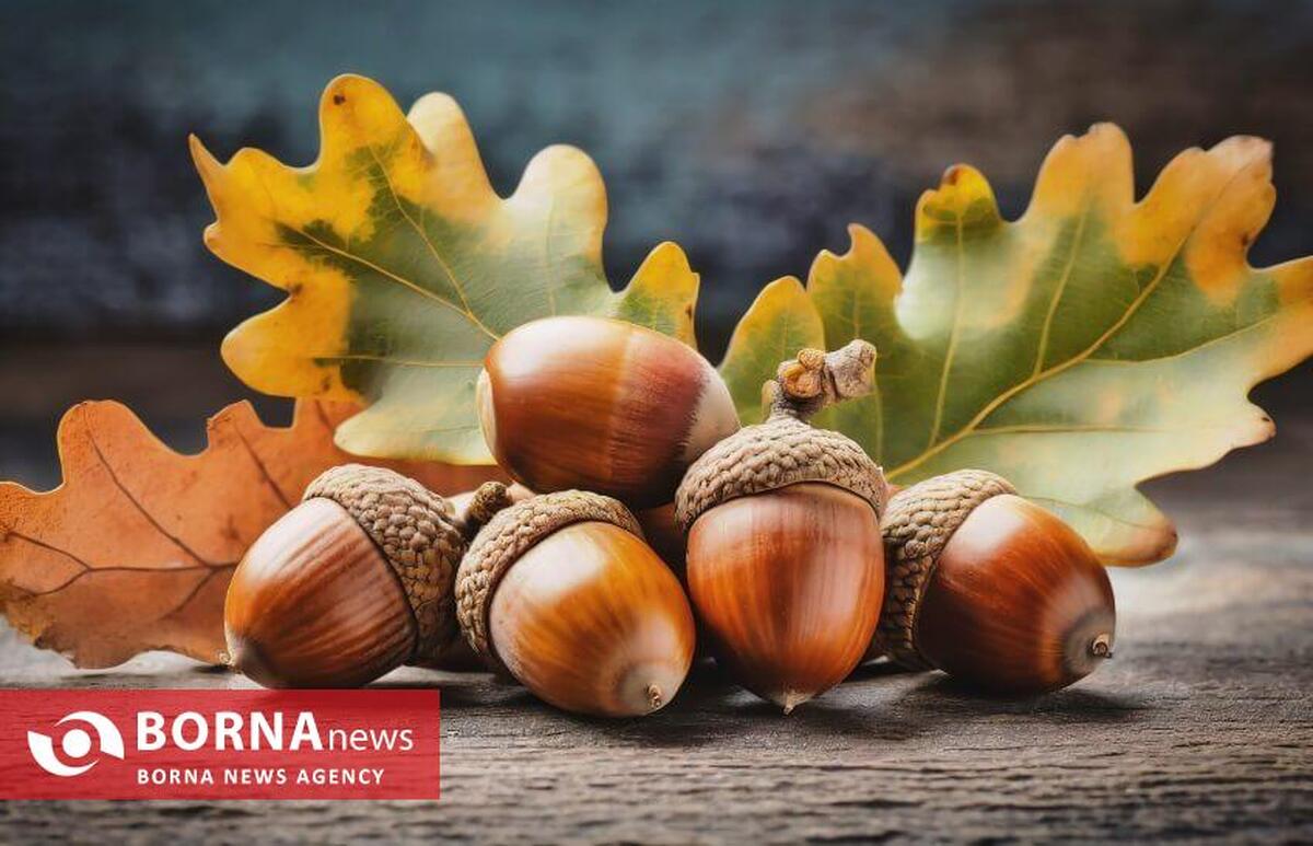 نوشیدنی «ژاوا» بازخوانی هوشمندانه یک تاریخ فراموش‌شده در مقاومت مردم غرب کشور