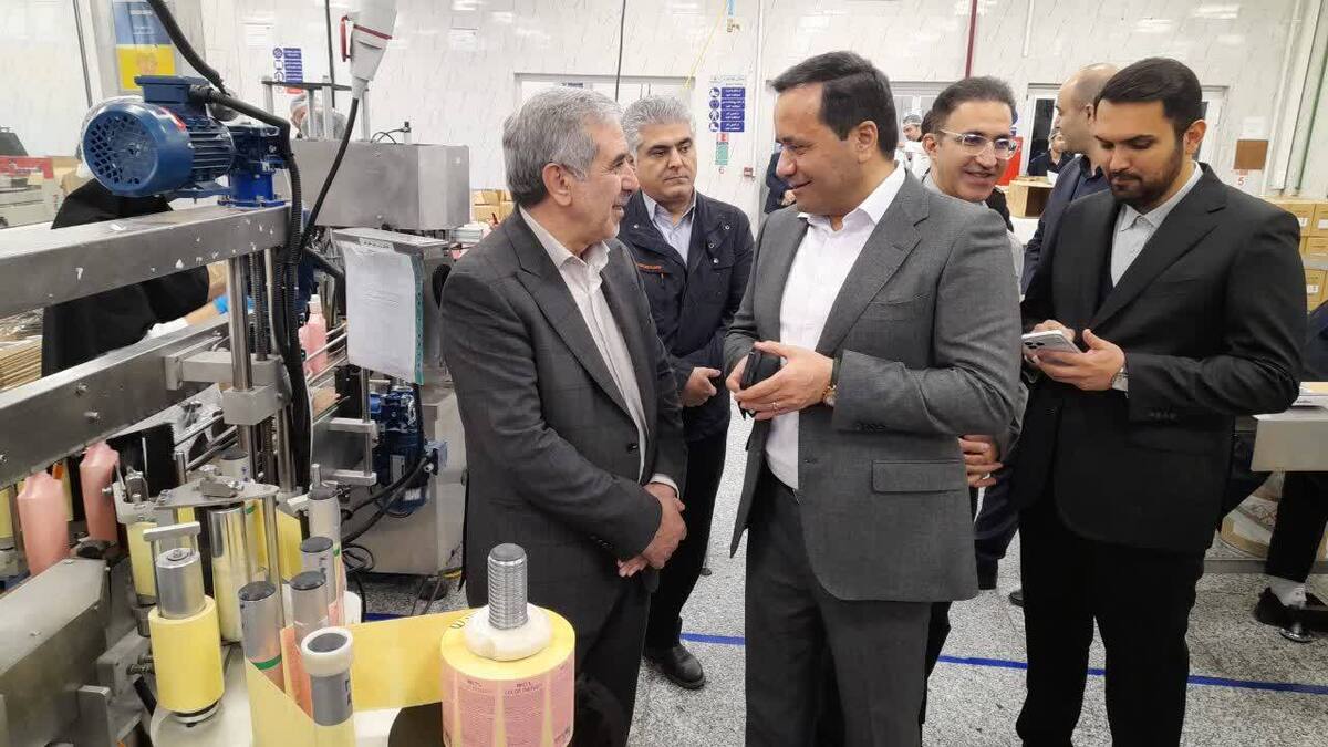 احیای واحد‌های راکد و توسعه صنایع پاک، اولویت وزارت صمت در استان‌هاست