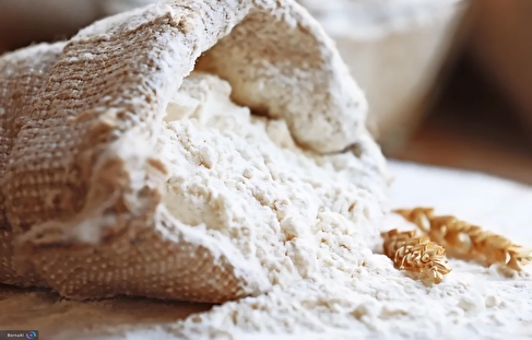 کیفیت زیر ذره‌بین فناوری بومی؛ ضایعات نان کاهش می‌یابد!