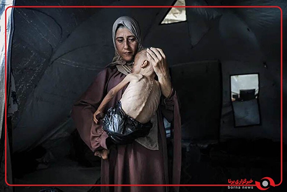 نگاهی به چند عکس برگزیده سال ۲۰۲۵