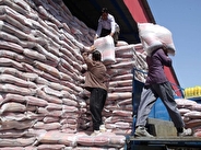 ۹۰۰ تُن برنج خارجی از طریق رویه جدید کولبری با هدف تنظیم بازار وارد کشور شد