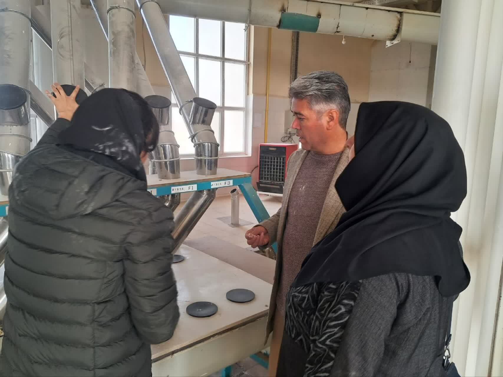 پُخت نان با آرد کامل در قزوین توسعه می یابد پُخت نان با آرد کامل در قزوین توسعه می یابد