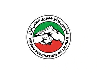 برگزاری جلسه کمیته انضباطی فدراسیون ووشو با حضور خاطیان