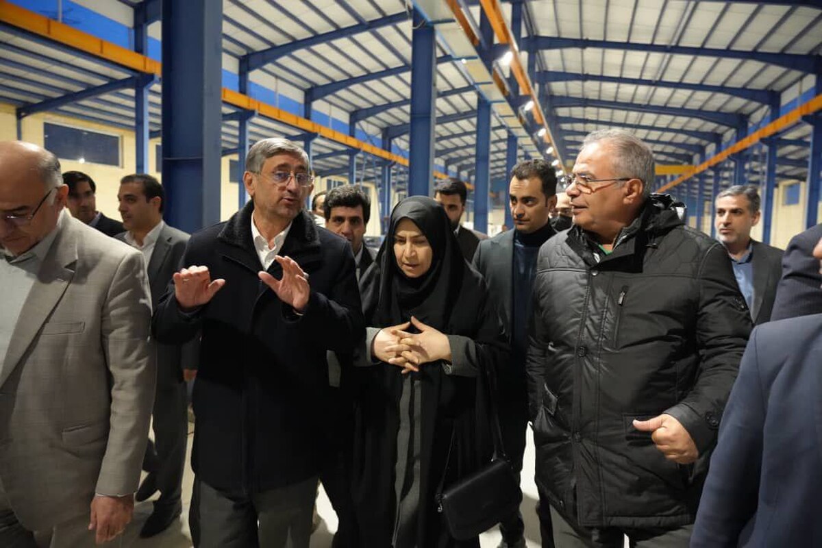 استاندار لرستان خبر داد: پیشرفت ۸۵درصدی واحد سیلیکون متال صنایع فرتاک بروجرد