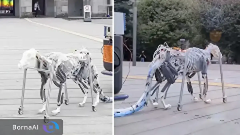 ربات جدید ژاپنی با حرکتی شبیه حیوانات واقعی راه می‌رود+فیلم