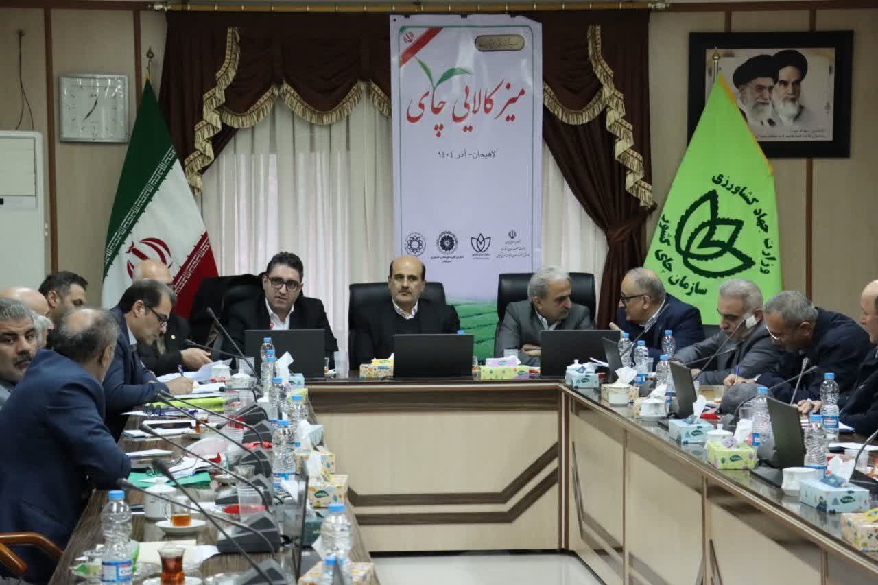 لاهیجان علاوه بر قطب تولید، می تواند پایتخت تجارت چای کشور شود لاهیجان علاوه بر قطب تولید، می تواند پایتخت تجارت چای کشور شود