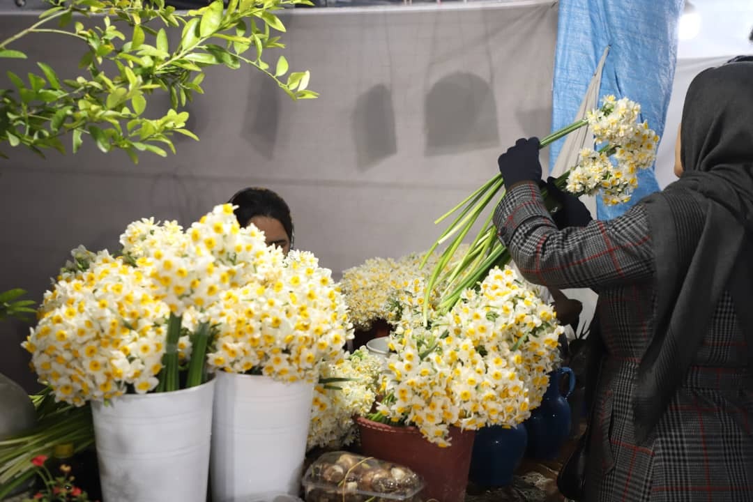 آغاز به‌کار نمایشگاه‌های عرضه کالای شب یلدا در شیراز