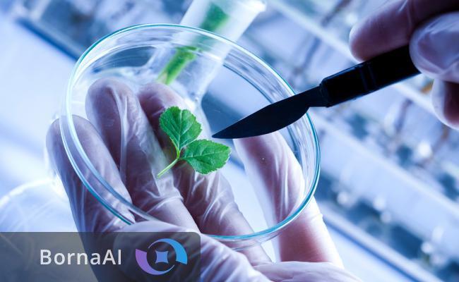 جوانه زنی دانه‌ها در آزمایشگاه با ژرمیناتور هوشمند ایرانی/ وقتی استانداردسازی مسیر نوآوری را مسدود می‌کند!