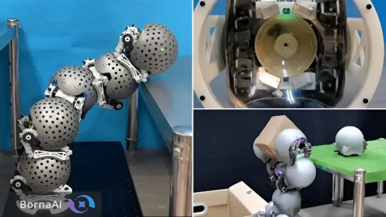 ربات‌های کوچک پل زنده ساختند+فیلم