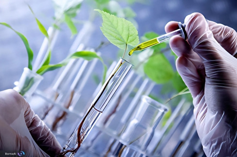 جوانه زنی دانه‌ها در آزمایشگاه با ژرمیناتور هوشمند ایرانی/ وقتی استانداردسازی مسیر نوآوری را مسدود می‌کند!