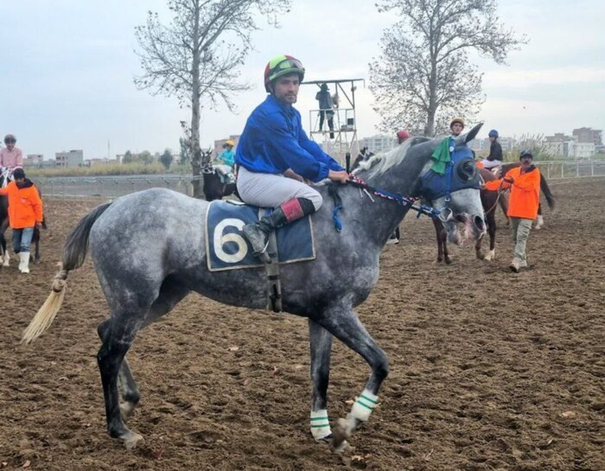 برگزاری هفته ششم کورس اسبدوانی گنبد با تاخت ۶۶ اسب