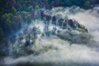 جنگل‌های هیرکانی مازندران را بهتر بشناسیم