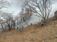 آتش‌سوزی وسیع جنگل الیت مهار شد