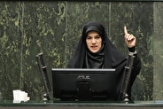 عضو فراکسیون زنان: حق عائله‌مندی زنان به رسمیت شناختن نقش برابرشان در نظام پرداخت است