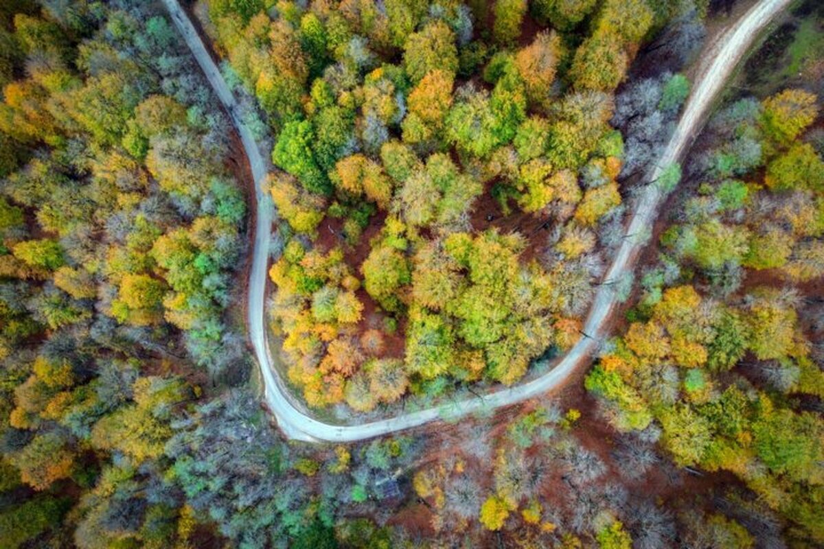 وضعیت جوی مازندران در پایان هفته جاری چگونه است؟