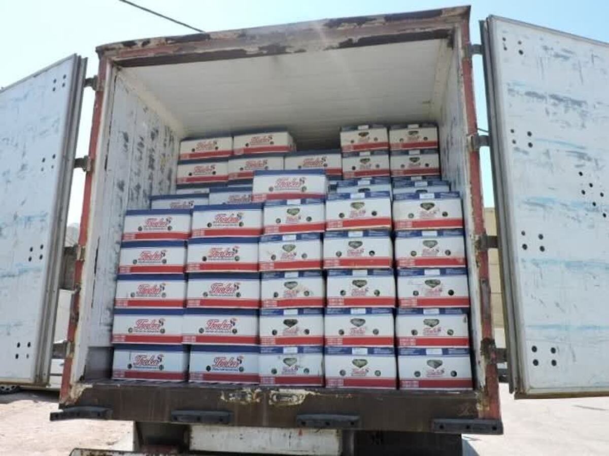 ورود اولین محموله موز از کشور پاکستان به مقصد مرز ماهیرود