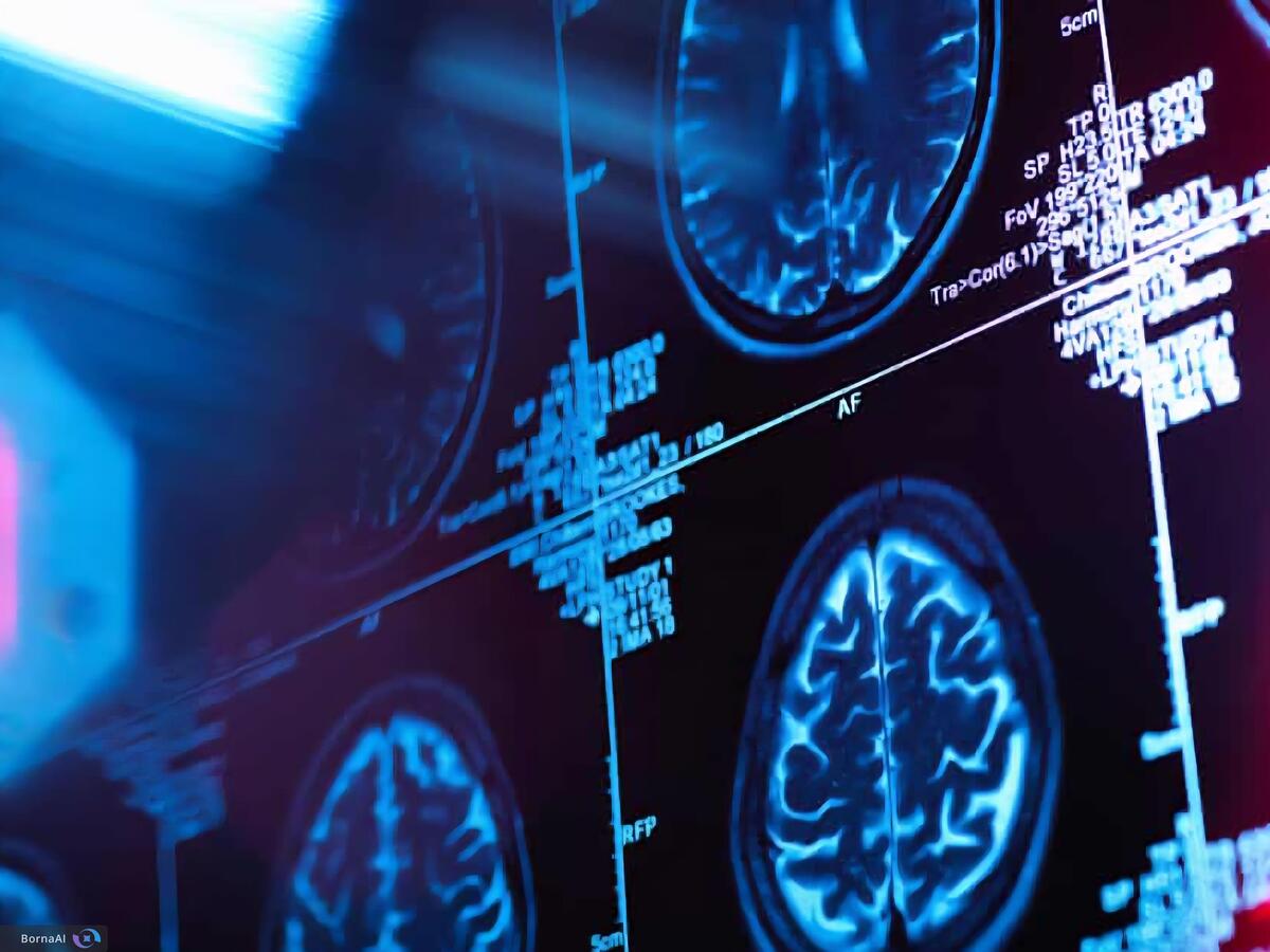 مغز انسان پنج دوران دارد؛ بزرگسالی واقعی تا ۳۰ سالگی آغاز نمی‌شود