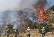 دادستان گلستان: کوتاهی مدیران در آتش سوزی جنگل را نمی پذیرم