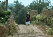 افتتاح جشنواره جهانی فجر با فیلمی از عباس کیارستمی