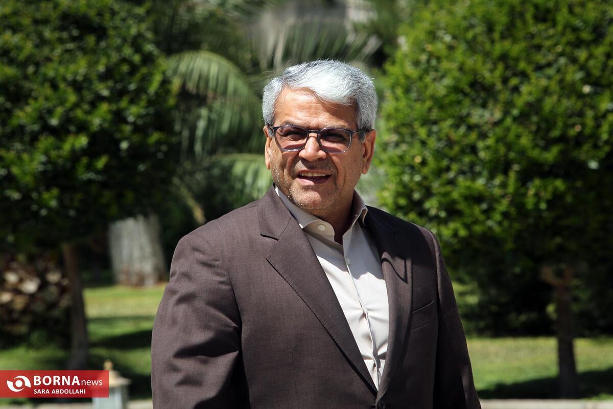 توضیحات تقوی‌نژاد درباره برنامه دولت برای کوچک سازی