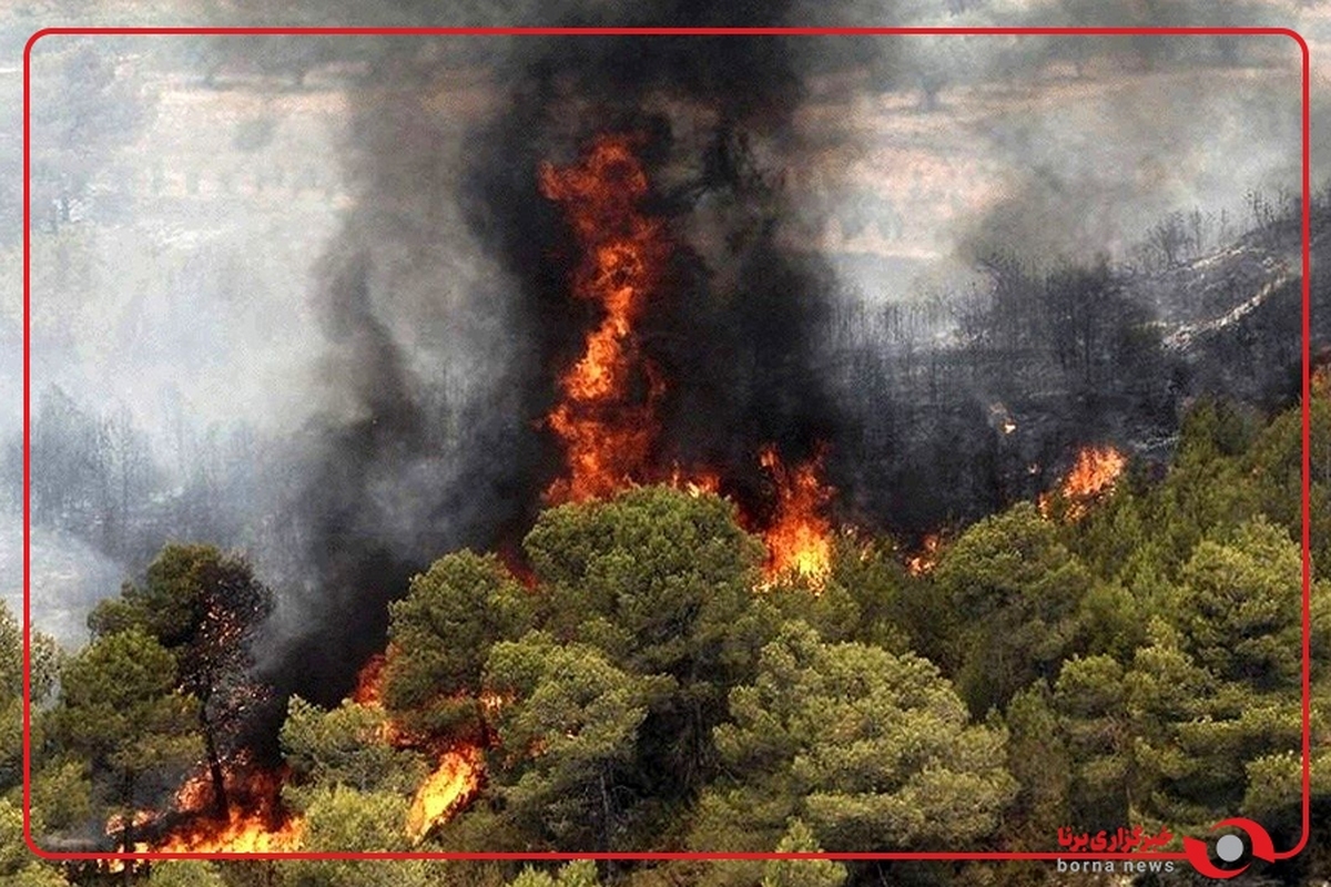 اعزام نیرو های امدادی برای مهار آتش در یکی از جنگل‌های استان گلستان