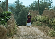 جشنواره جهانی فیلم فجر با اکران«زیر درختان زیتون» آغاز شد