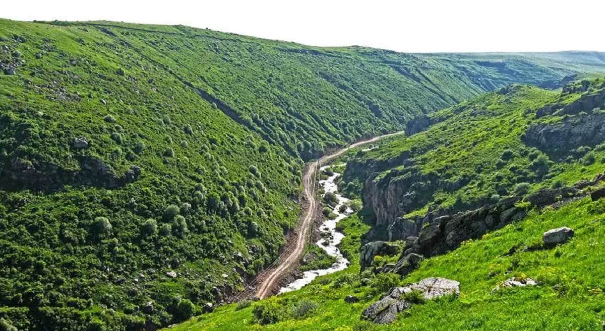 لکه‌گیری در جنگل‌های نمنق ادامه دارد