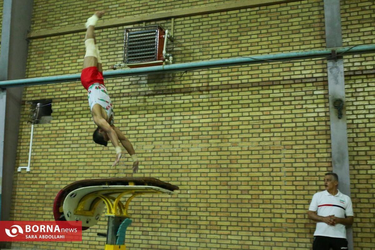 نقوی سرپرست فدراسیون ژیمناستیک شد/ اسبقیان: کار فدراسیون با فک پلمپ از شنبه سر گرفته می‌شود