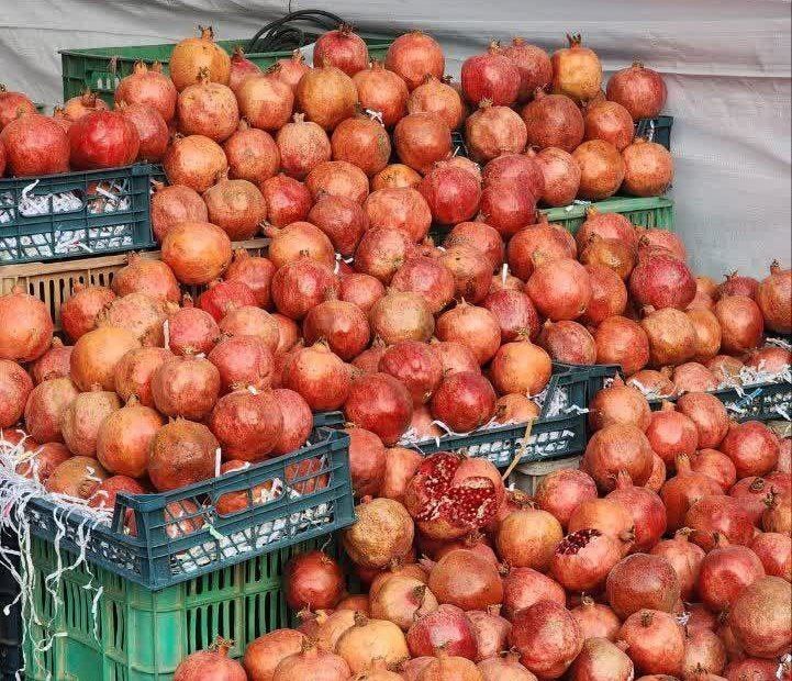 پنجمین دوره جشنواره استانی انار در پاکدشت برگزار شد پنجمین دوره جشنواره استانی انار در پاکدشت برگزار شد