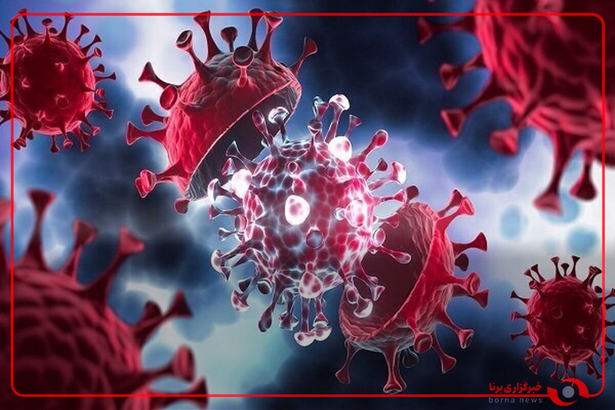 ویروس آنفلوآنزا رو به افزایش است