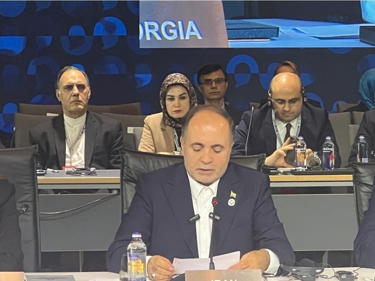 تاکید وزیر جهادکشاورزی بر گسترش همکاری های جهانی برای تامین امنیت غذایی