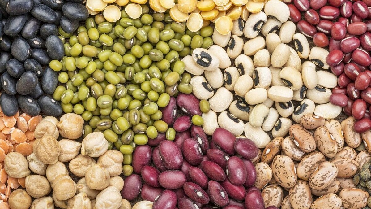 قیمت حبوبات غیر شرکتی در میادین و بازار‌های میوه و تره بار تهران اعلام شد